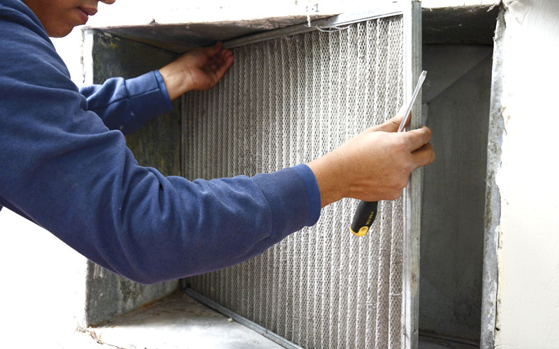 Cómo limpiar el moho del concreto: 13 Pasos
