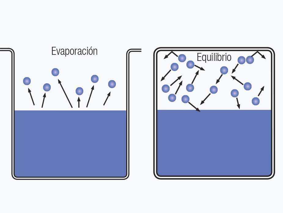 Todo Lo Que Debes Saber Sobre Fluidos Revista Cero Grados 0308